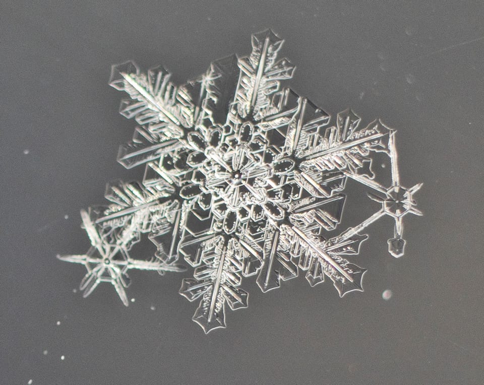 Water and the Question at the Center of Life